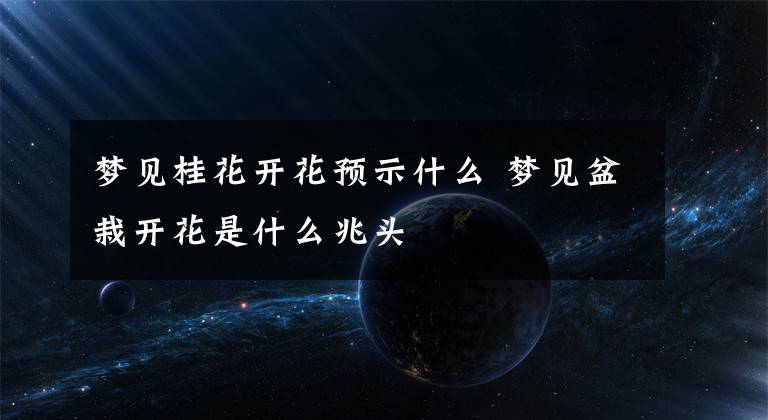 梦见桂花开花预示什么 梦见盆栽开花是什么兆头