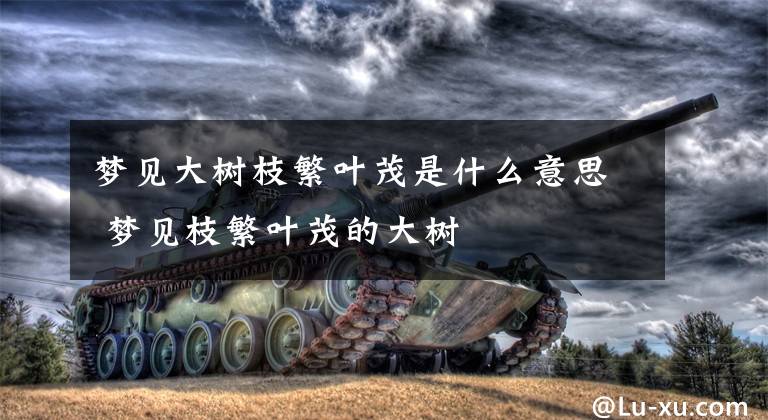 梦见大树枝繁叶茂是什么意思 梦见枝繁叶茂的大树