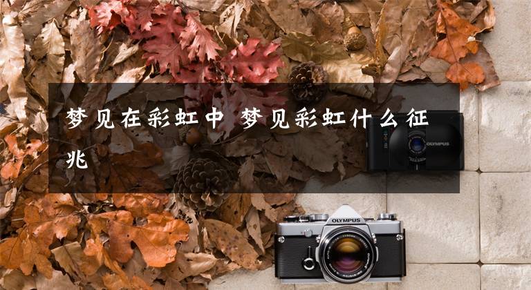 梦见在彩虹中 梦见彩虹什么征兆