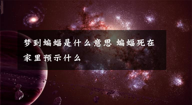 梦到蝙蝠是什么意思 蝙蝠死在家里预示什么