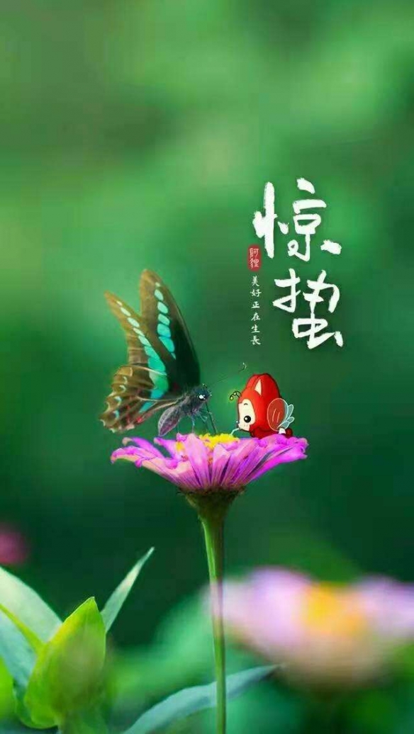 惊蛰图片文案2022 梗百科打法心得