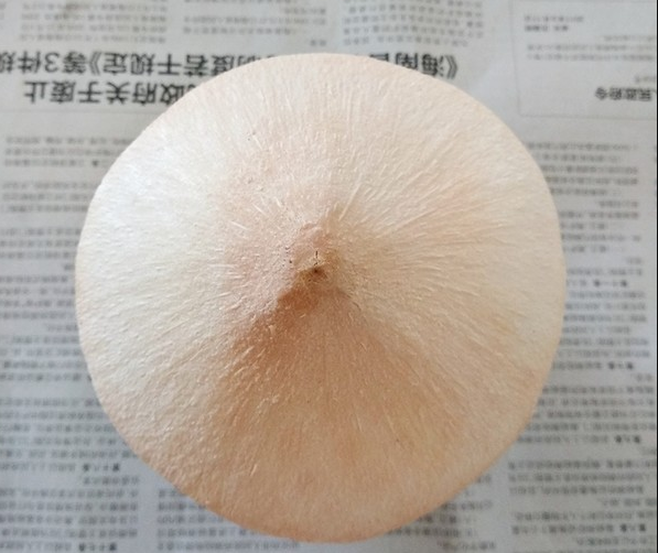 如何轻松在家开椰子 都乐椰子开盖不好使