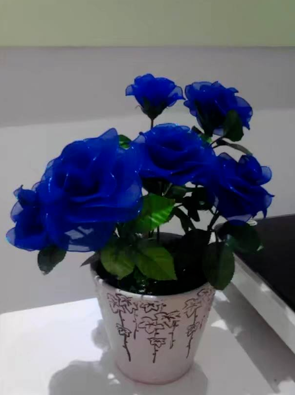 情人节送什么颜色的花给老婆 50岁情人节送什么花