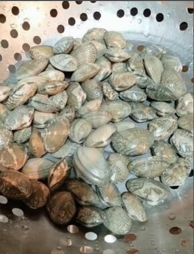 花甲的做法大全 花甲的制作方法简单美味