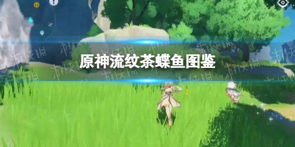 原神流纹茶蝶鱼图鉴 原神新手教程详解