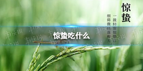 惊蛰吃什么 梗百科攻略方法介绍