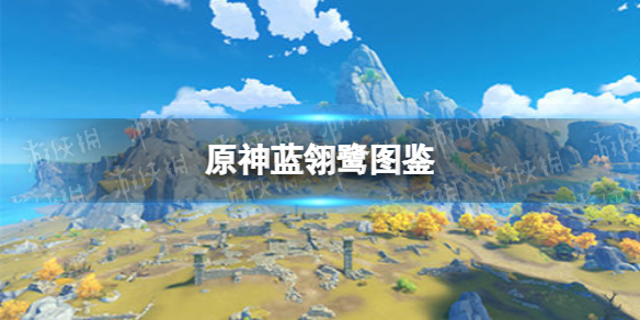 原神蓝翎鹭图鉴 原神新手入门常见问题总结