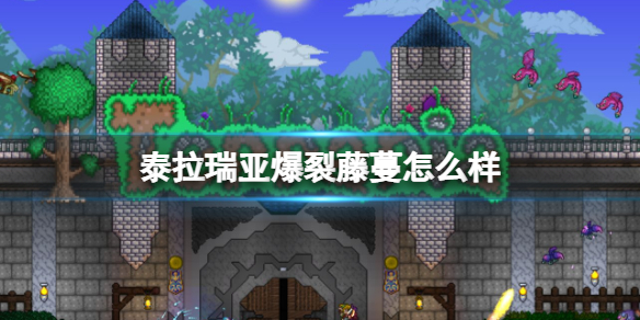 泰拉瑞亚爆裂藤蔓怎么样 泰拉瑞亚常见打法攻略