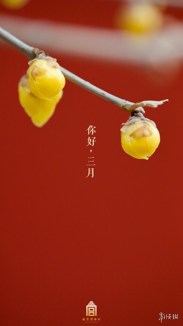 三月第一天图片大全 梗百科新手攻略分享