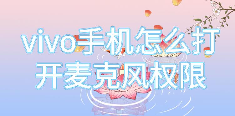 vivo手机怎么打开麦克风权限 vivo手机如何开启麦克风权限