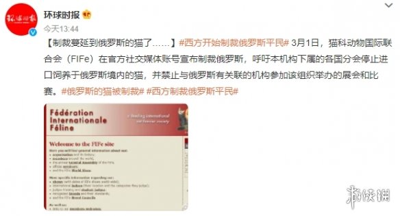 俄罗斯猫被制裁 梗百科技巧分享