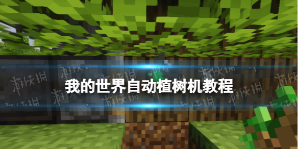我的世界自动植树机怎么做 我的世界手游新手攻略文章配图