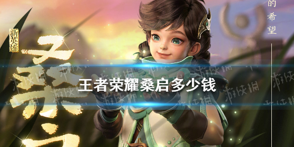 王者荣耀桑启多少钱 王者荣耀新手攻略技巧