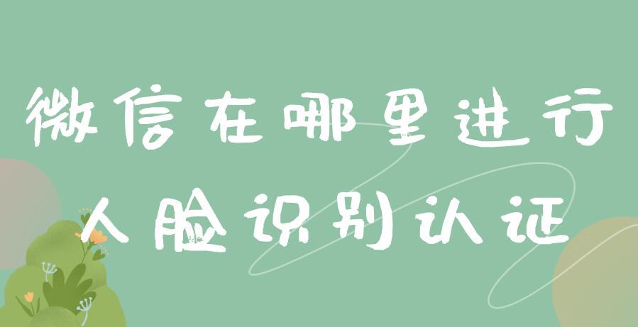 微信在哪里进行人脸识别认证 怎么在微信里进行人脸识别认证