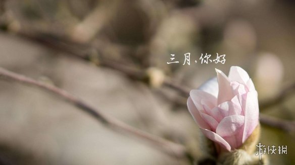 三月第一天图片大全 梗百科新手攻略分享