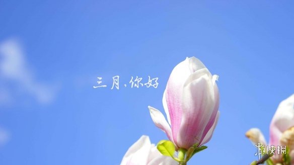 三月第一天祝福语大全 梗百科新手教程详解