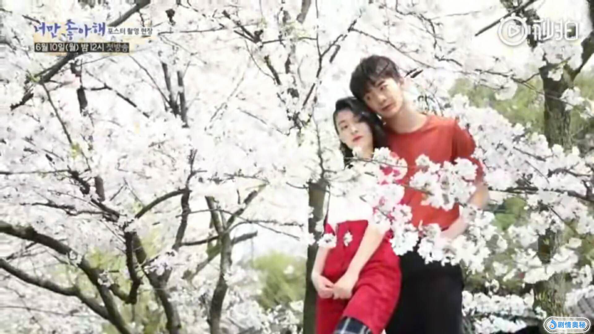 我只喜欢你 不空洞的古风歌曲