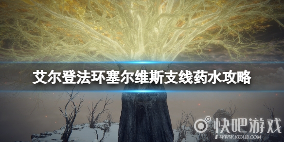 赛尔维斯的药水找谁