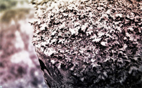 帕米尔 帕米尔高原上的首批戍边女兵 雪域高原上的“雪莲花”