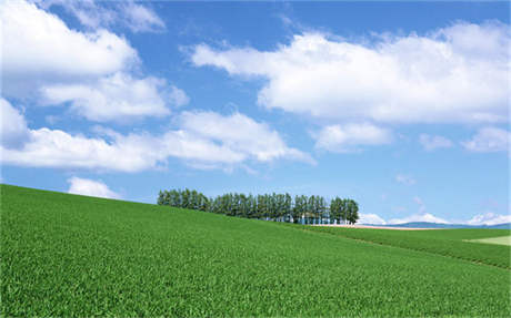 苍井空自曝喜欢王宝强 苍井空自曝喜欢王宝强是真的吗