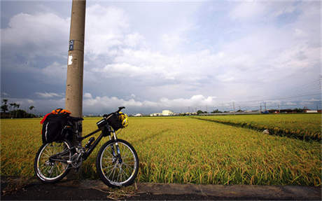 沪嘉高速公路 今天｜10月31日，31年前，沪嘉高速公路建成通车，“长度虽短，但意义重大”