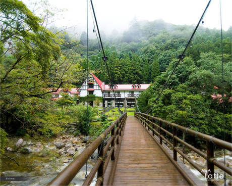 广州增城凤凰城酒店 2020广州（增城）荔枝文化旅游节广州凤凰城酒店分会场隆重开幕