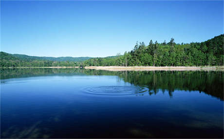 掺水 加油站汽油里掺水 现场试验瓶中汽油分成两层（图）