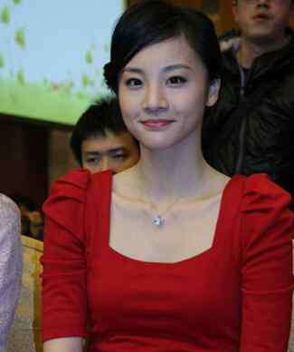 章龄之演过的电视剧 章龄之个人资料和出演的电视剧 章龄之老公是谁
