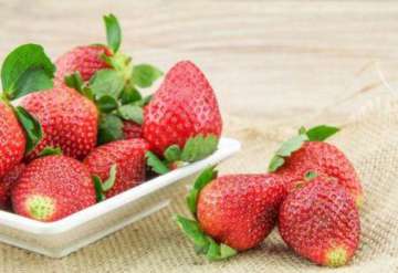 草莓可以放多久 早餐后多久可以吃草莓 草莓饭前多久吃