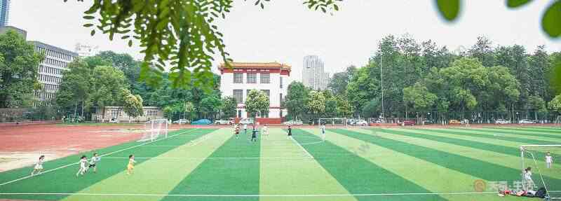 四川大学录取分数线 四川大学录取分数线 四川大学高考分数线