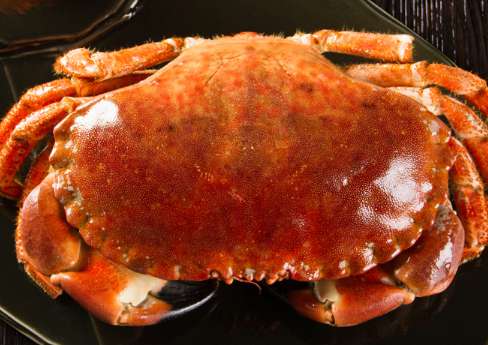 面包蟹怎么吃 面包蟹怎么吃 面包蟹不适合哪些人吃