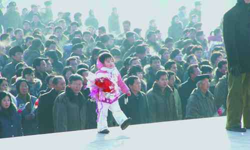 金日成花 朝鲜人最爱领袖花：“金日成花”和“金正日花”