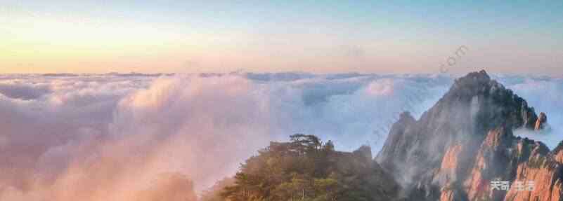 登飞来峰原文 登飞来峰的主旨 登飞来峰赏析