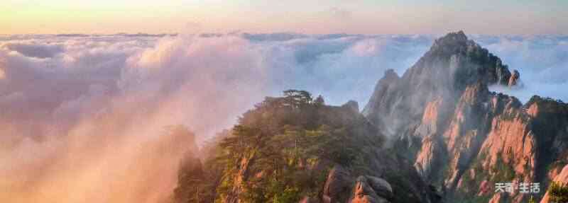 自缘身在最高层 不畏浮云遮望眼,自缘身在最高层赏析 登飞来峰典故