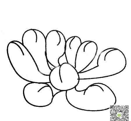 多肉植物简笔画 多肉植物简笔画图片_多肉植物儿童绘画作品图集