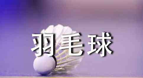 国际羽联 国际羽毛球双打比赛规则介绍