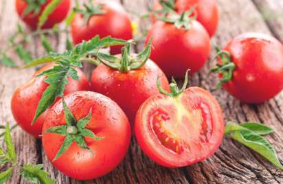 西红柿生吃好还是熟吃好 番茄生吃好还是熟吃好 番茄为什么熟后更酸