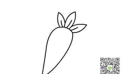 胡萝卜怎么画 胡萝卜怎么画简笔画图片