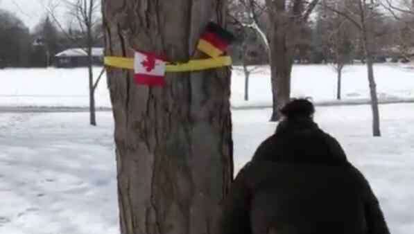 德国国旗颜色 糗大了！加拿大挂德国国旗 “迎接”比利时国王夫妇