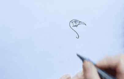 蓝孔雀怎么画 孔雀怎么画_简单美丽的孔雀简笔画画法步骤教程