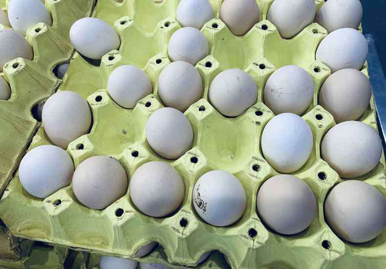 今天的鸡蛋价格 鸡蛋今日行情 近期鸡蛋价格为何上涨？