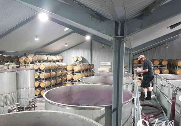 澳洲葡萄酒 澳大利亚葡萄酒青睐中国市场