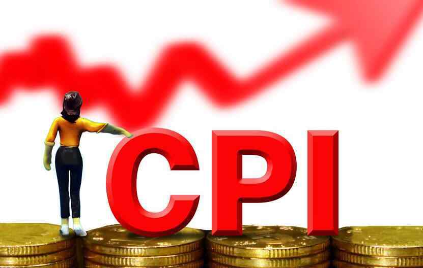 cpi数据 cpi指数是什么意思？ CPI同比上涨1.3%