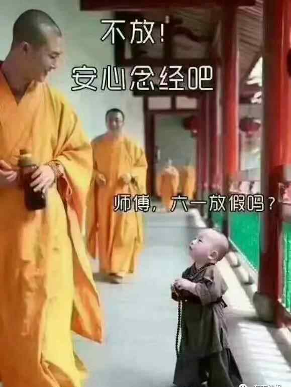 最萌小和尚图片 六一节“福州西禅寺最萌小和尚”照又走红 他现在长这样啦