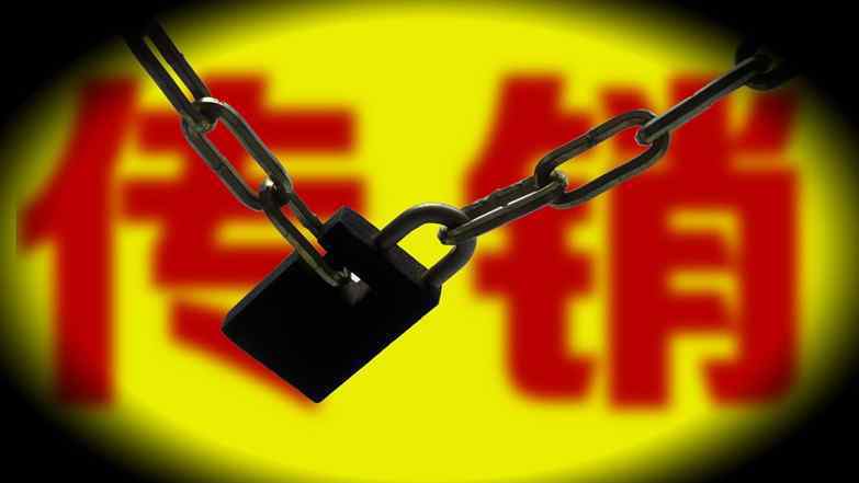 黄氏顺兴 中国十大传销公司排名 中国传销骗局最新名单