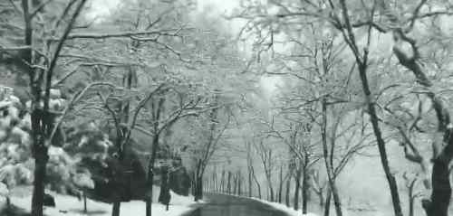 北京多地下雪 北京多地下雪怎么回事？北京多地下雪原因揭秘现场图