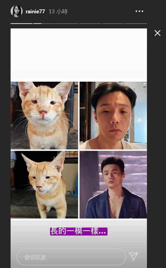 杨丞琳的图片 杨丞琳认证李荣浩撞脸猫咪怎么回事？图片对比网友们真的是吓到了！