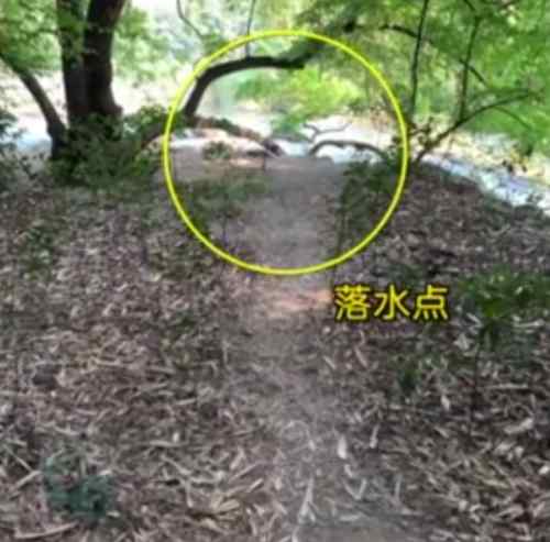 黄果树瀑布在哪里 黄果树游客遇难事件始末 黄果树游客在哪里遇难的死因是什么