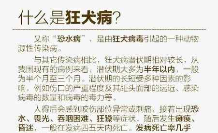 中国猫狂犬病致死案例 男孩被狗咬后去世原因及始末详情曝光 被猫狗咬伤以后要怎么做？