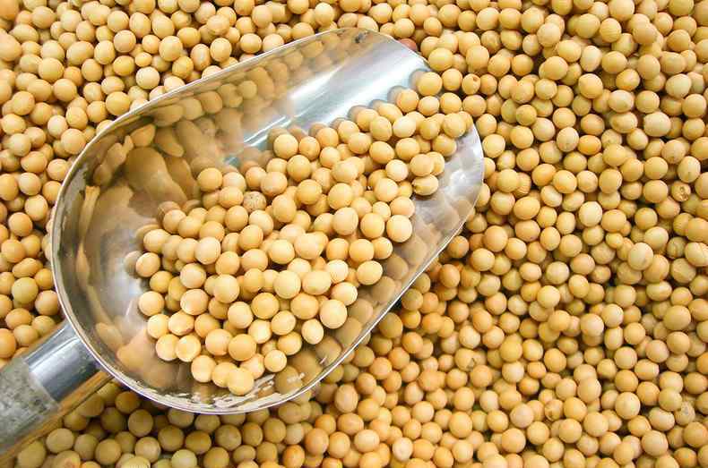 专家预测大豆走势分析 今日大豆价一斤多少钱 2020价格走势预测分析